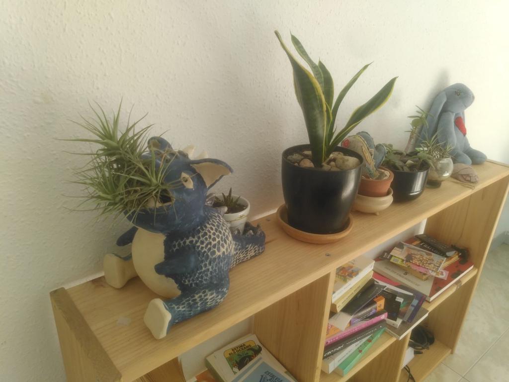 Picture of 'blau', the cute and round dragon with an air plant as its fire.
It also hugs with its tail a smaller pot with another plant.