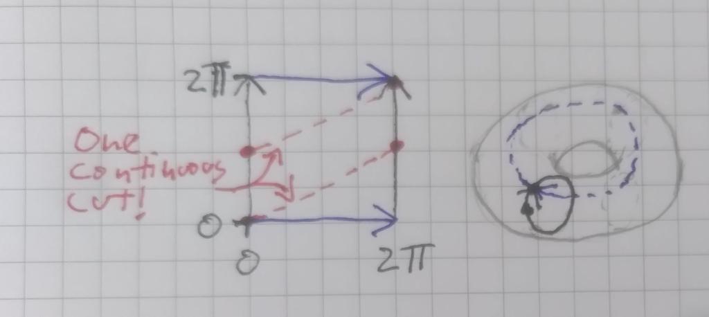 Representation in 2D of the toroid surface, along with the path followed by the cut that splits it in two interlaced pieces.
