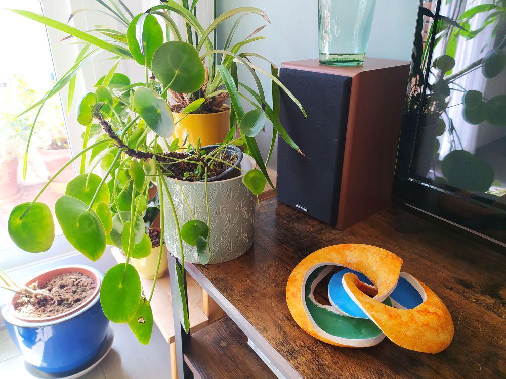 The doughnut, open so it is visible that it is two different parts interlaced, on a wood-coloured surface with plants in the background.