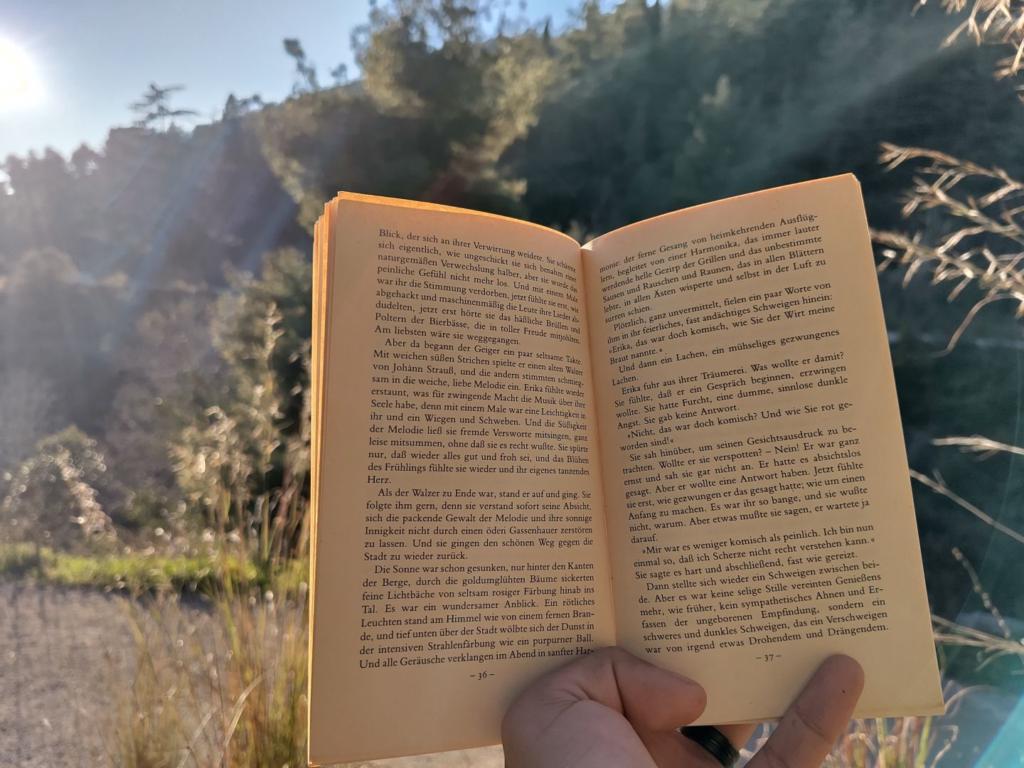 Sun setting behind a hill, foreground is a book with "die Liebe der Erika Ewald - Stefan Zweig"