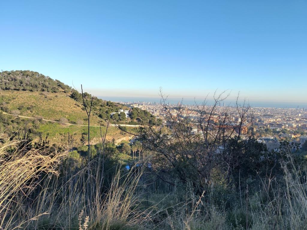 Clear blue skies over Barcelona, pictured from nearby hills. Sea and sky meet at the horizon.